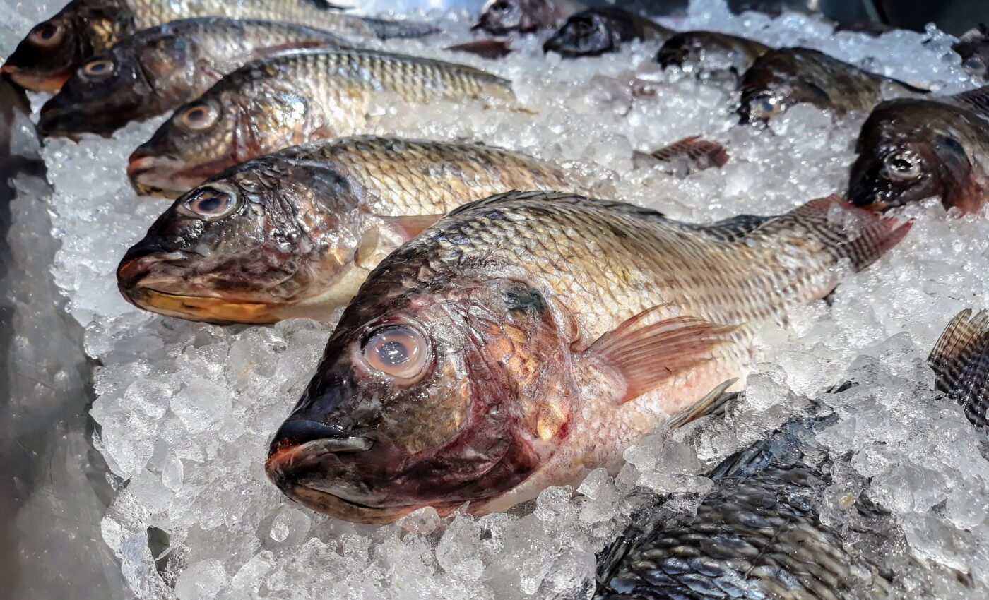 Fish residues can be transformed into valuable resources