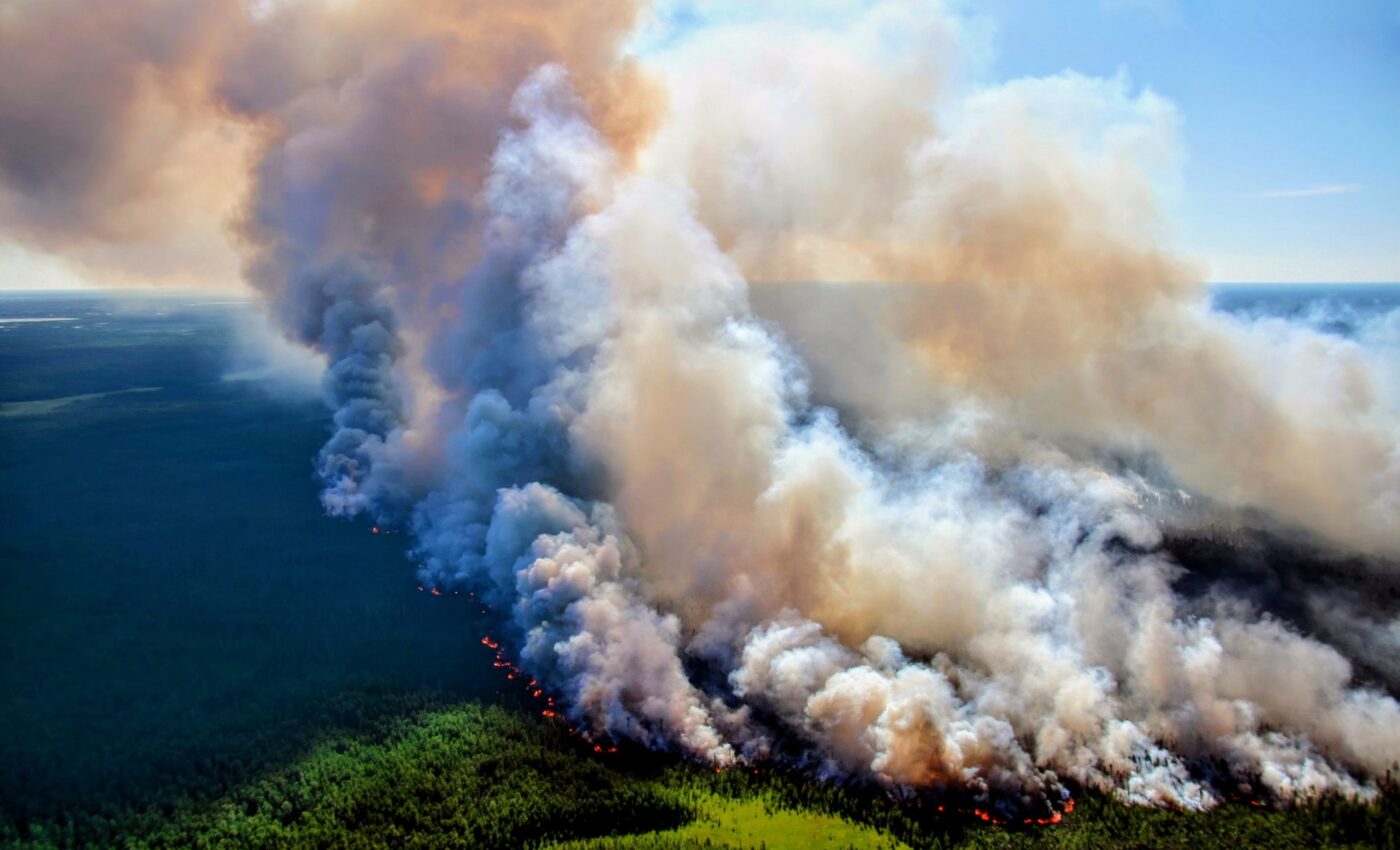 Wildfires have lasting impacts on soil chemistry