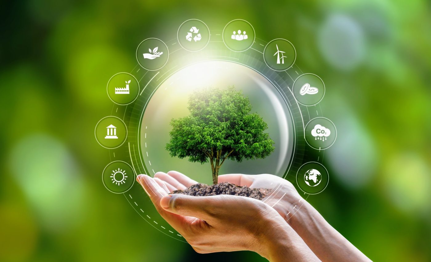 Bioelectric future: Harnessing the natural energy of plants