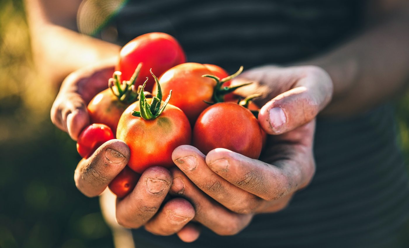 Simple food swaps could have a major environmental impact