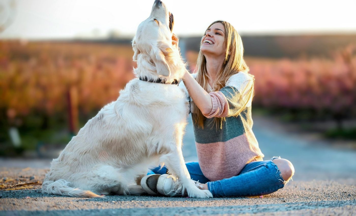 Dogs learn better with praise and petting