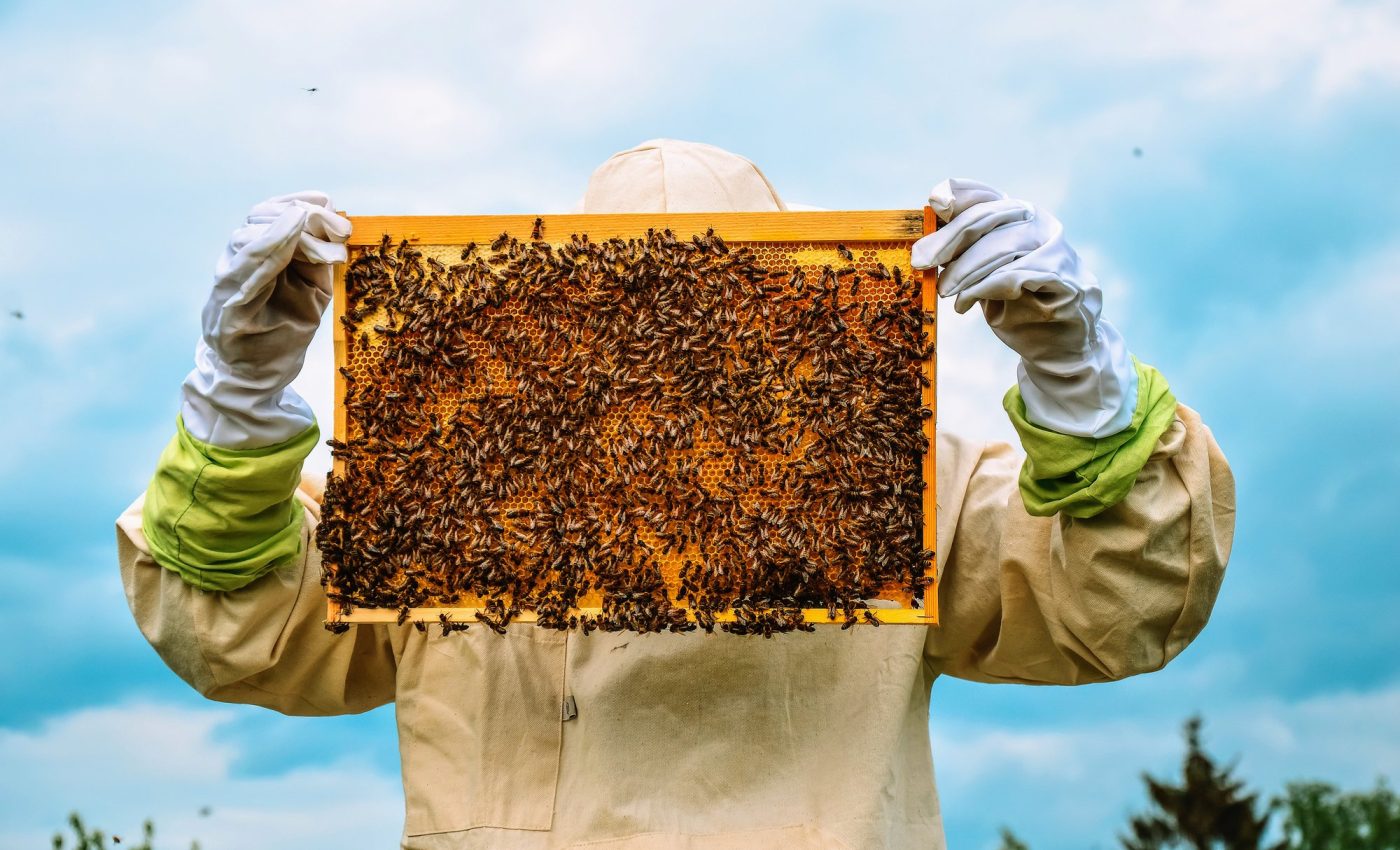 Winter poses a challenge to the survival of honey bees