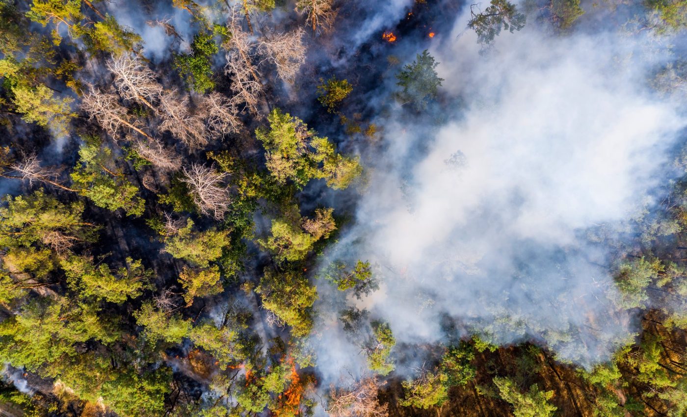 Bushfires are detected 500 times faster with AI satellites