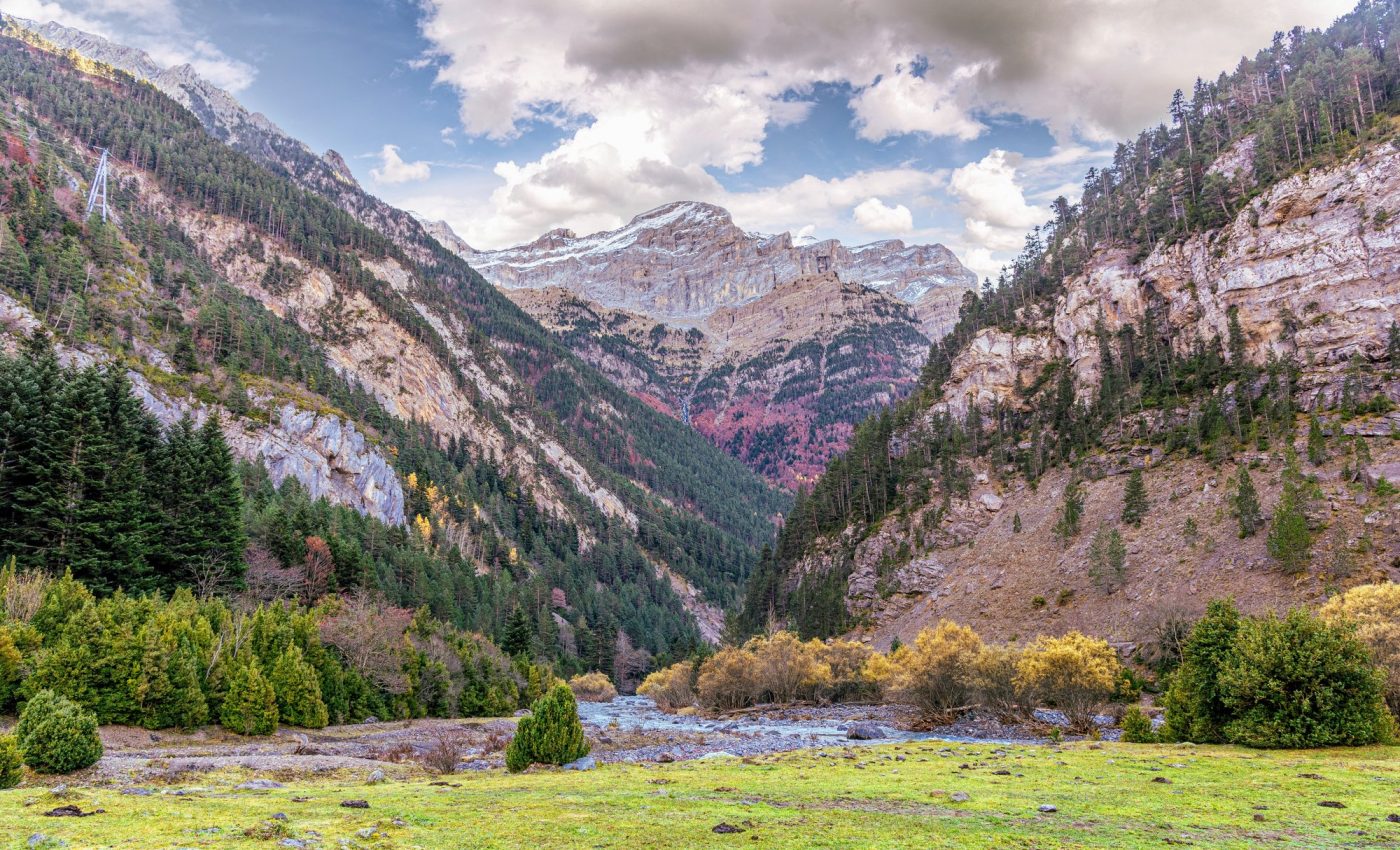 Millions of insects migrate through the Pyrenees each year