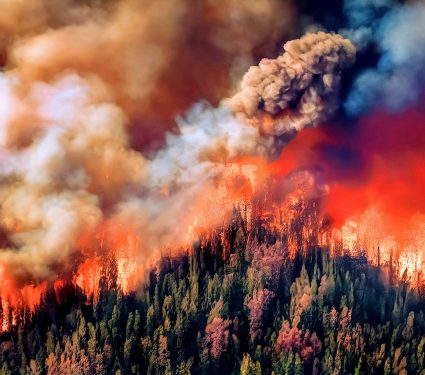 2024/06/Climate-change-wildfires.jpg