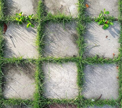Top,View,Square,Block,Cement,Concrete,Green,Grass,Pattern,Parking.
