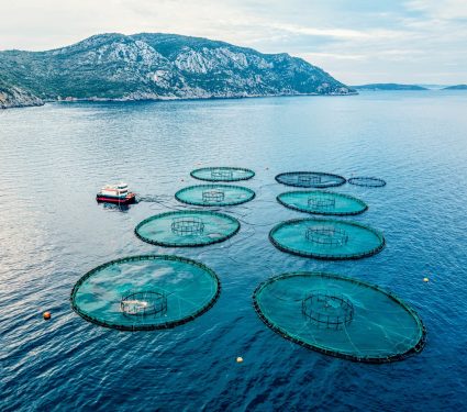 2024/06/Aquaculture-food.jpg