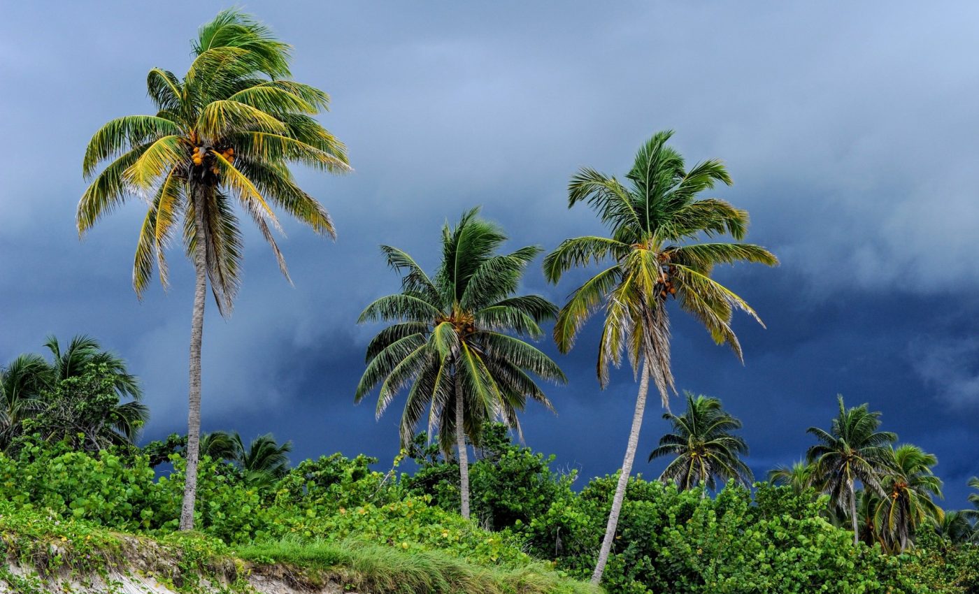 Tropical rains will shift northward in the coming decades 