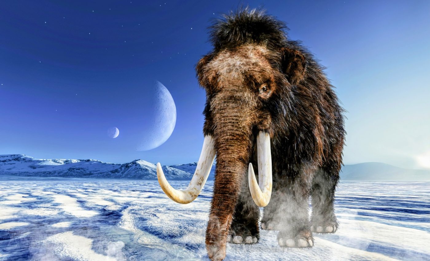 It's official: Humans were the leading cause of large animal extinctions