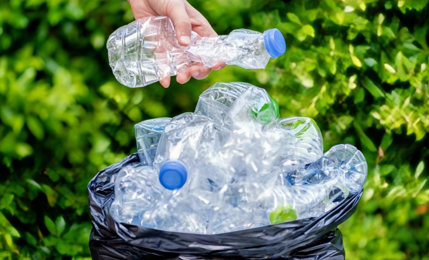 'Hungry' bacteria will devour plastic waste