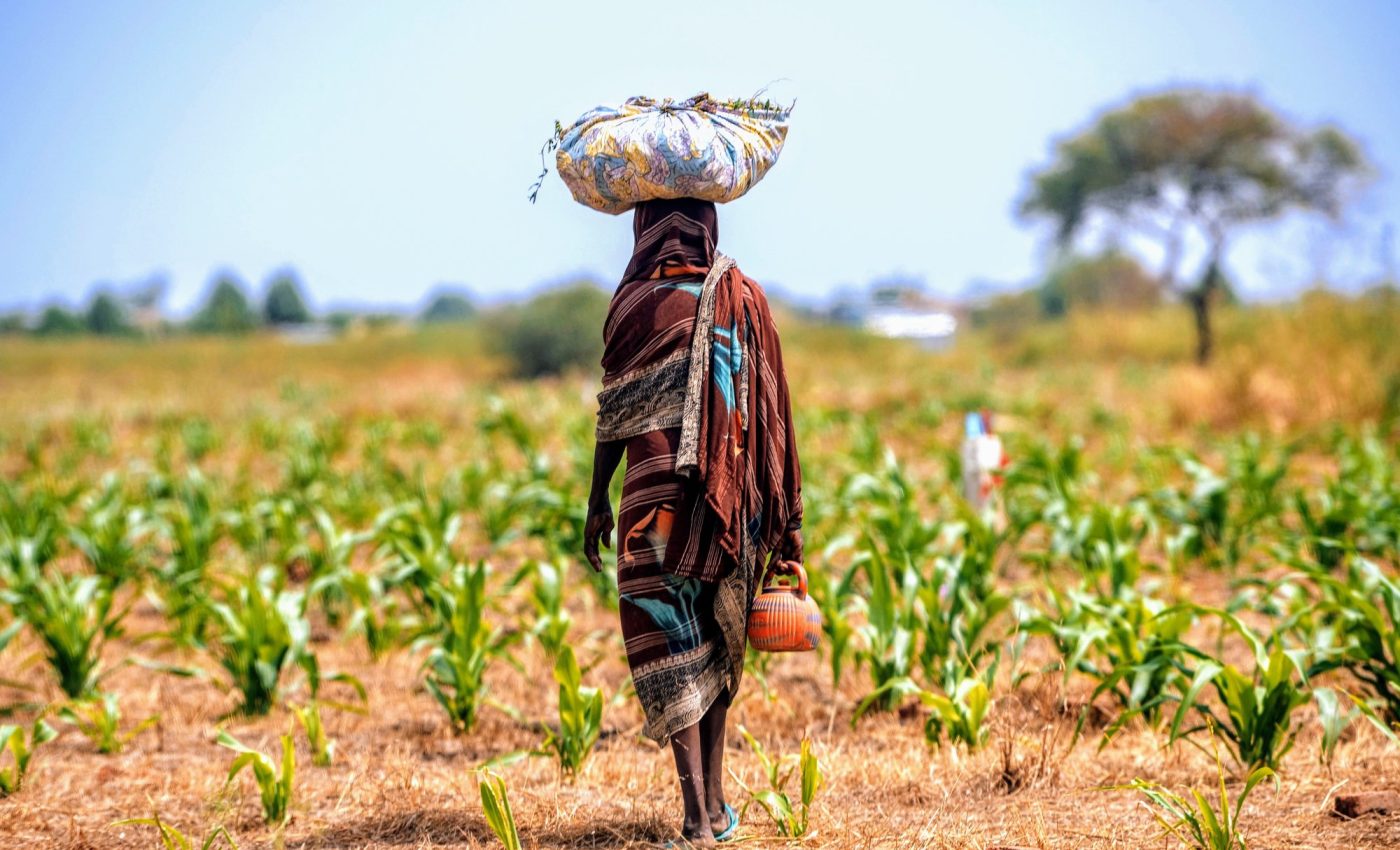 The birth of farming was driven by people, not the planet