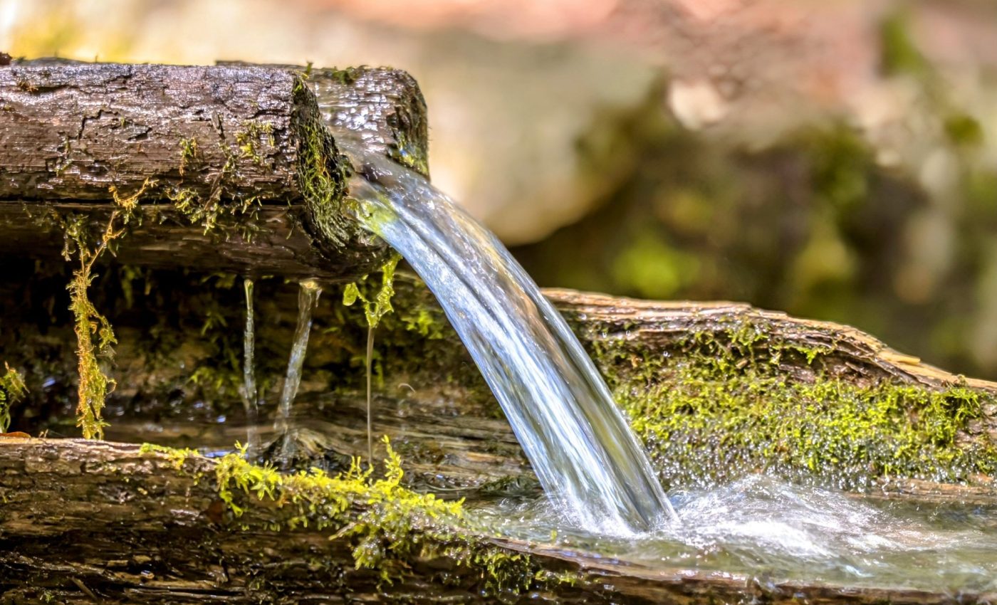 Groundwater has a vital role in ecosystem survival
