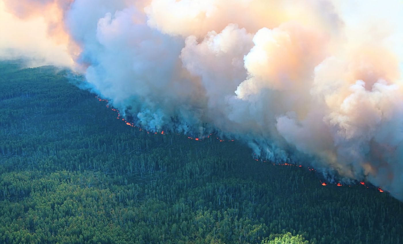 Preparing for disaster: Raising awareness to reduce wildfire risks