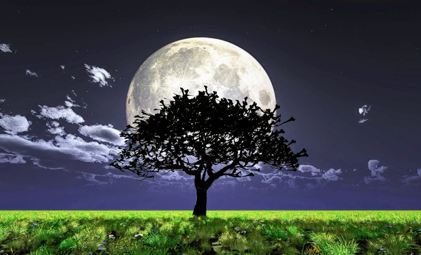 Proverbial "Noah's Ark" built on the moon will preserve Earth's biodiversity