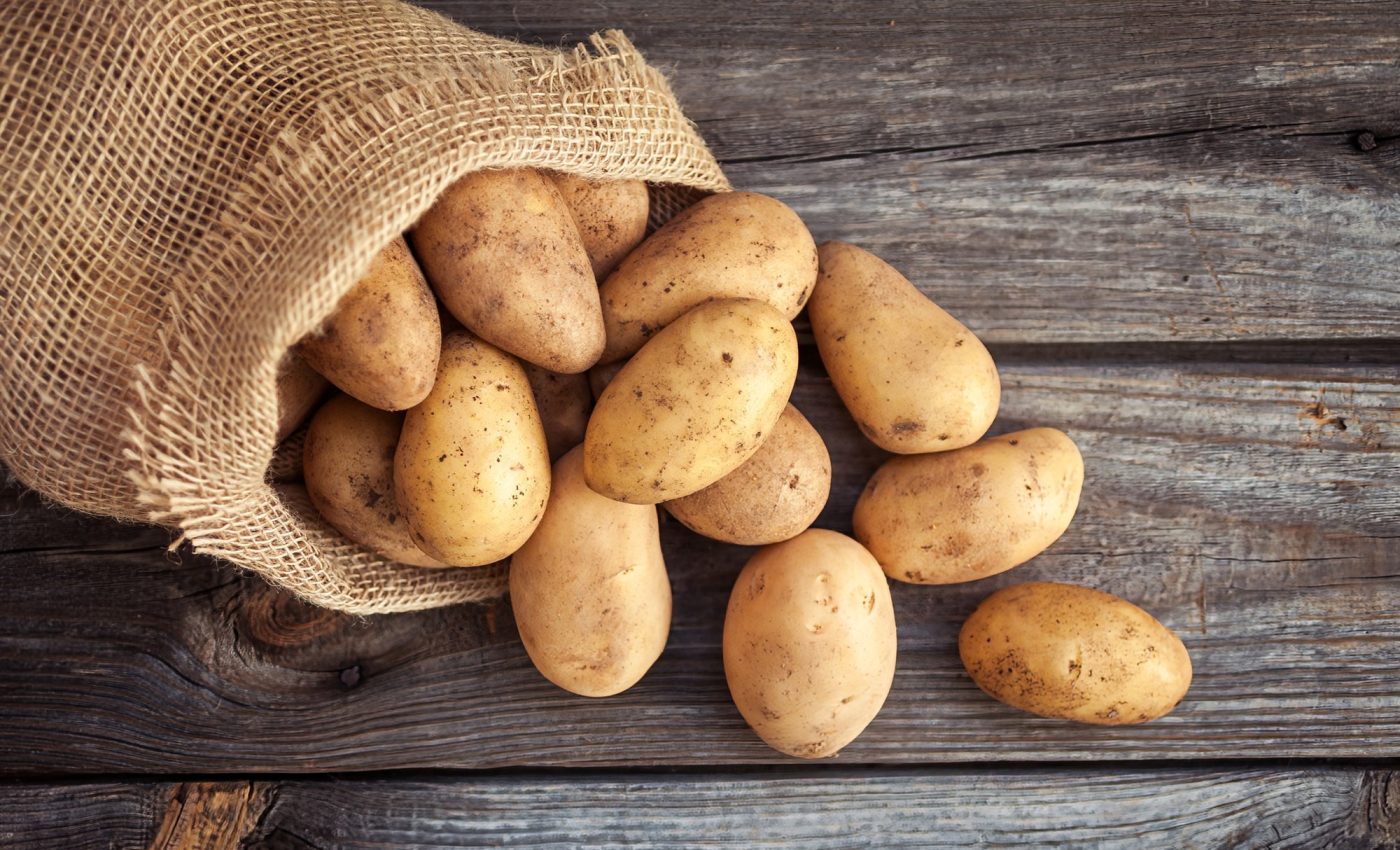 How a pathogen outsmarted the potato