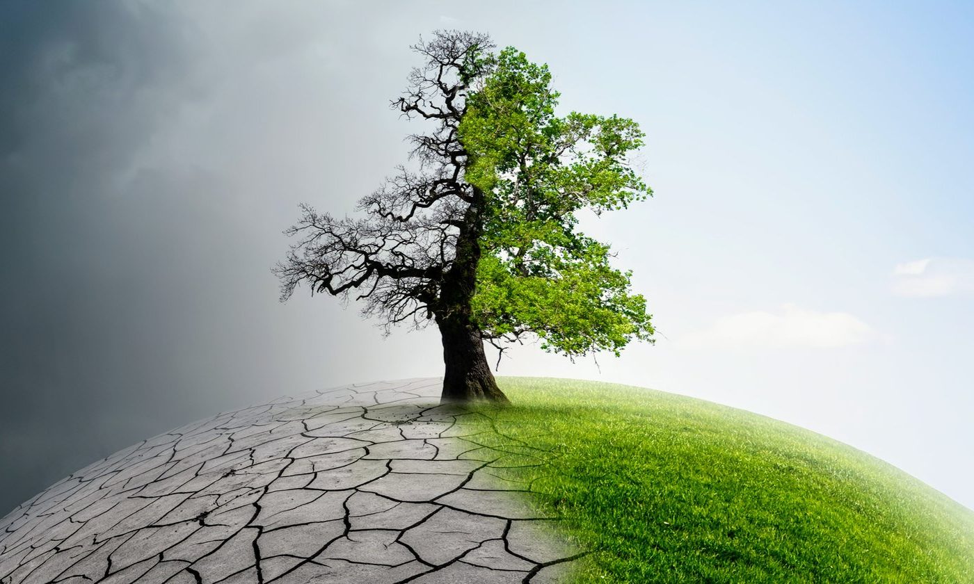 Plants needed millions of years to recover from past climate warming