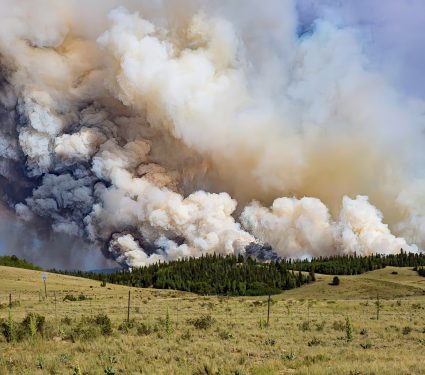 2024/08/Wildfires-health.jpg