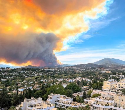 2024/08/Fires-climate2.jpg