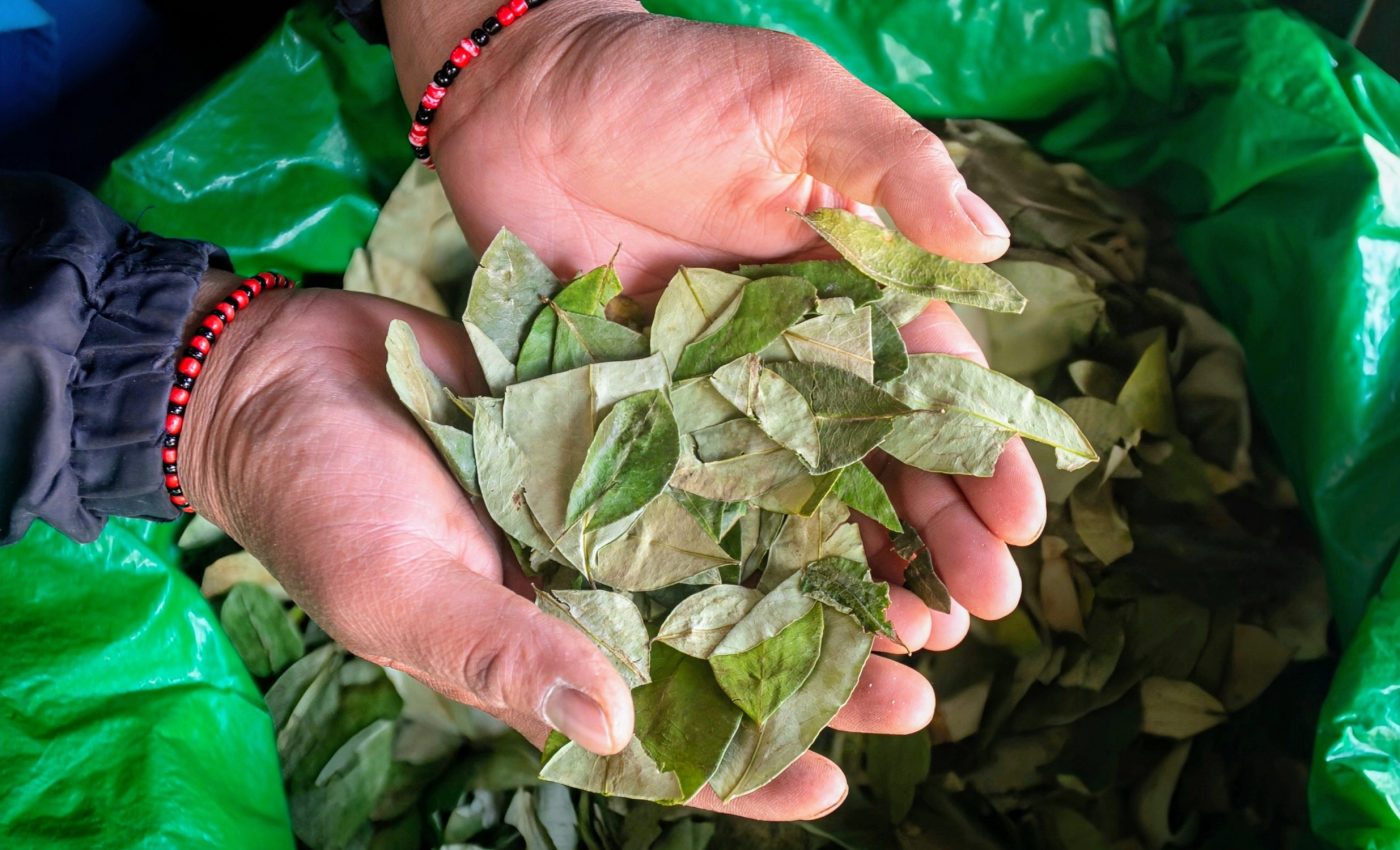 Cocaine use detected in the brains of 17th century mummies