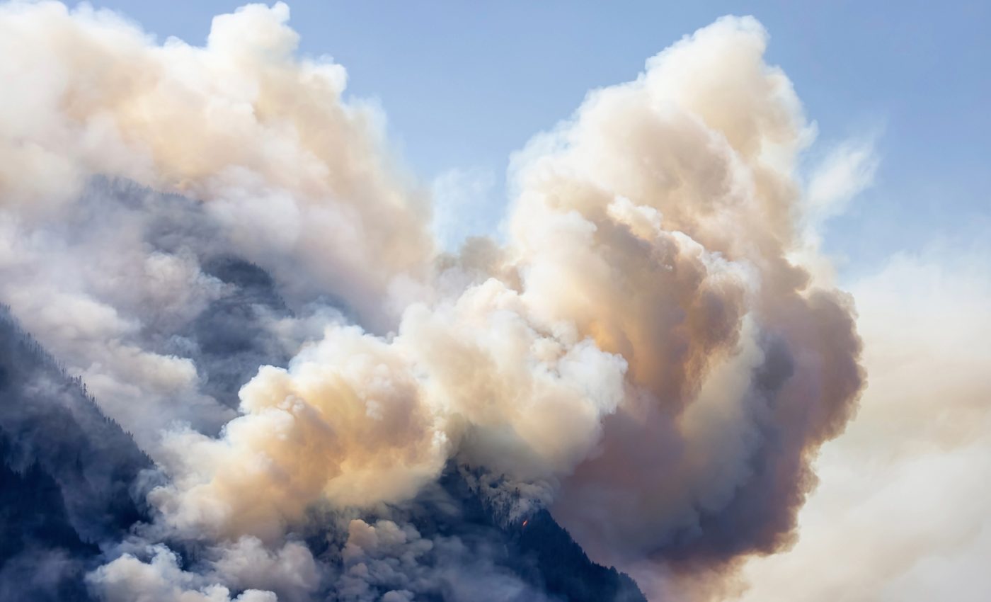 Canadian wildfires released 640 million metric tons of carbon