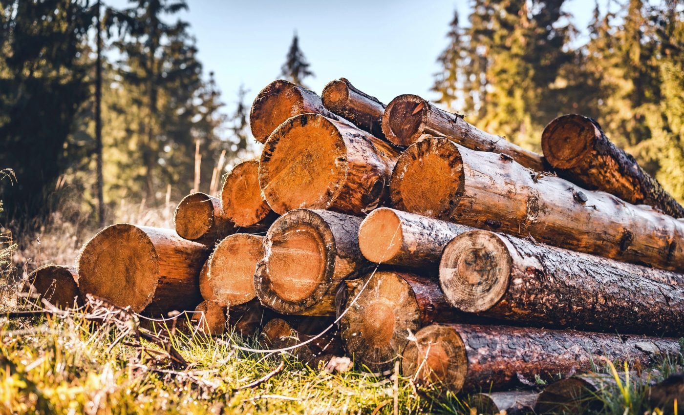 Food and timber production clash as temperatures rise