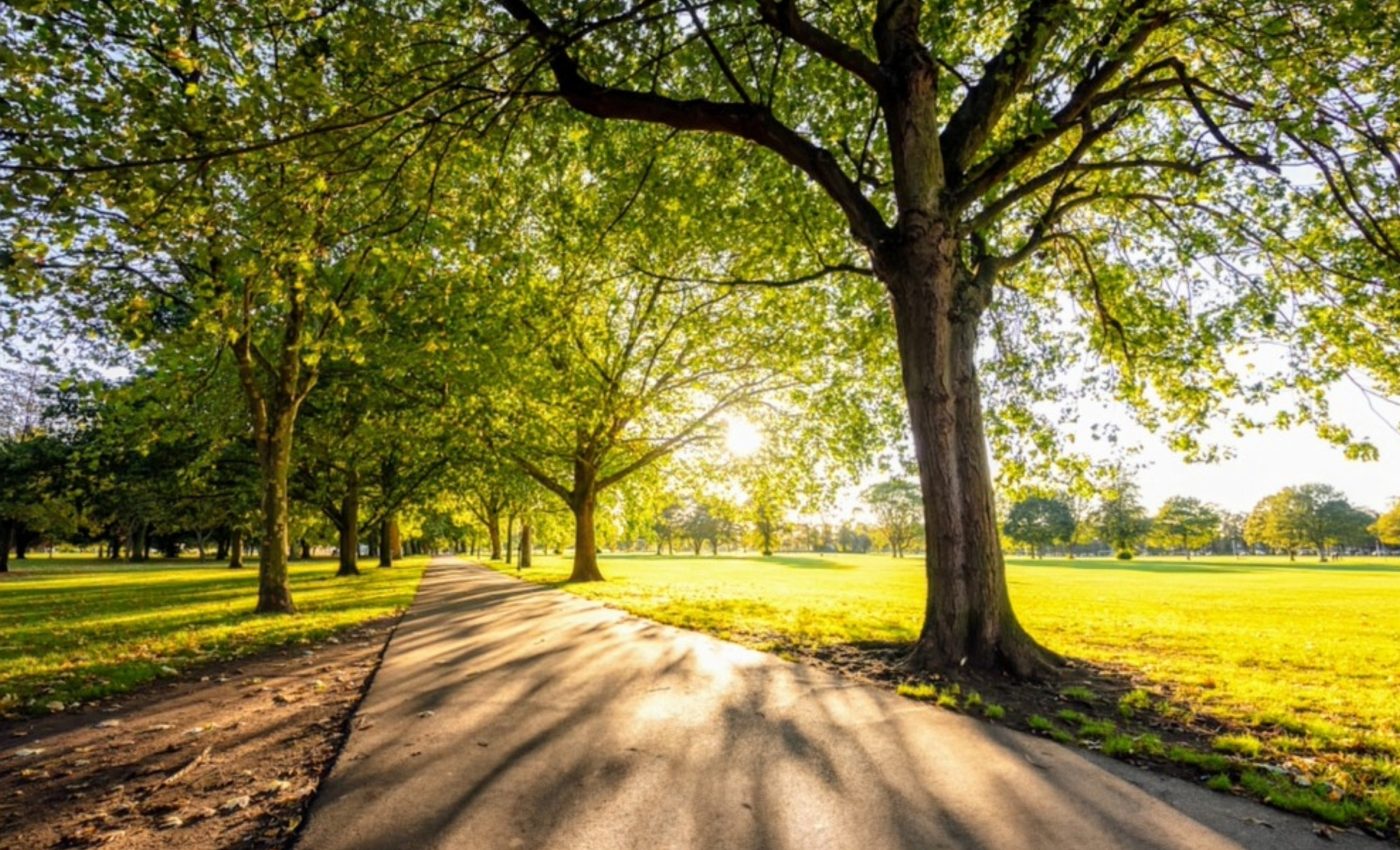 Urban green spaces are urgently needed across the Global South