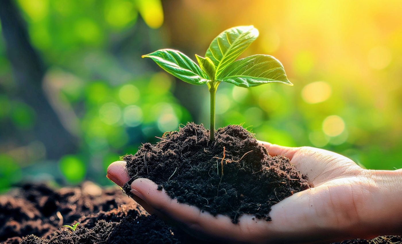 Warming and drying soils are losing more carbon