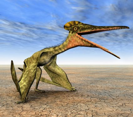 2024/09/Pterosaur-flight.jpg