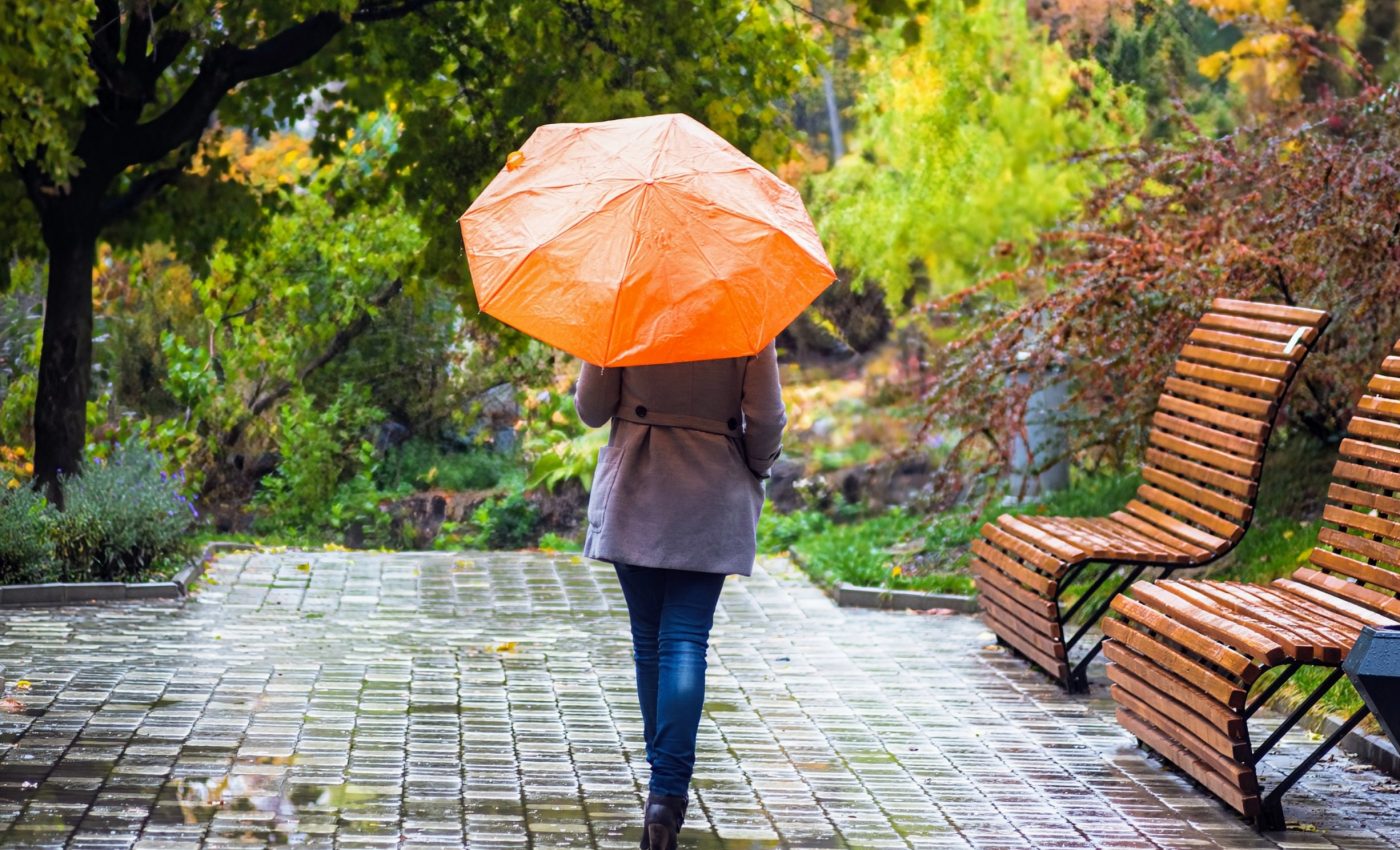 Cities experience more rainfall than surrounding areas
