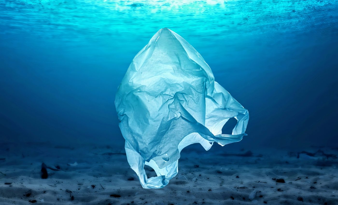 Plastic bag bans have drastically reduced ocean pollution