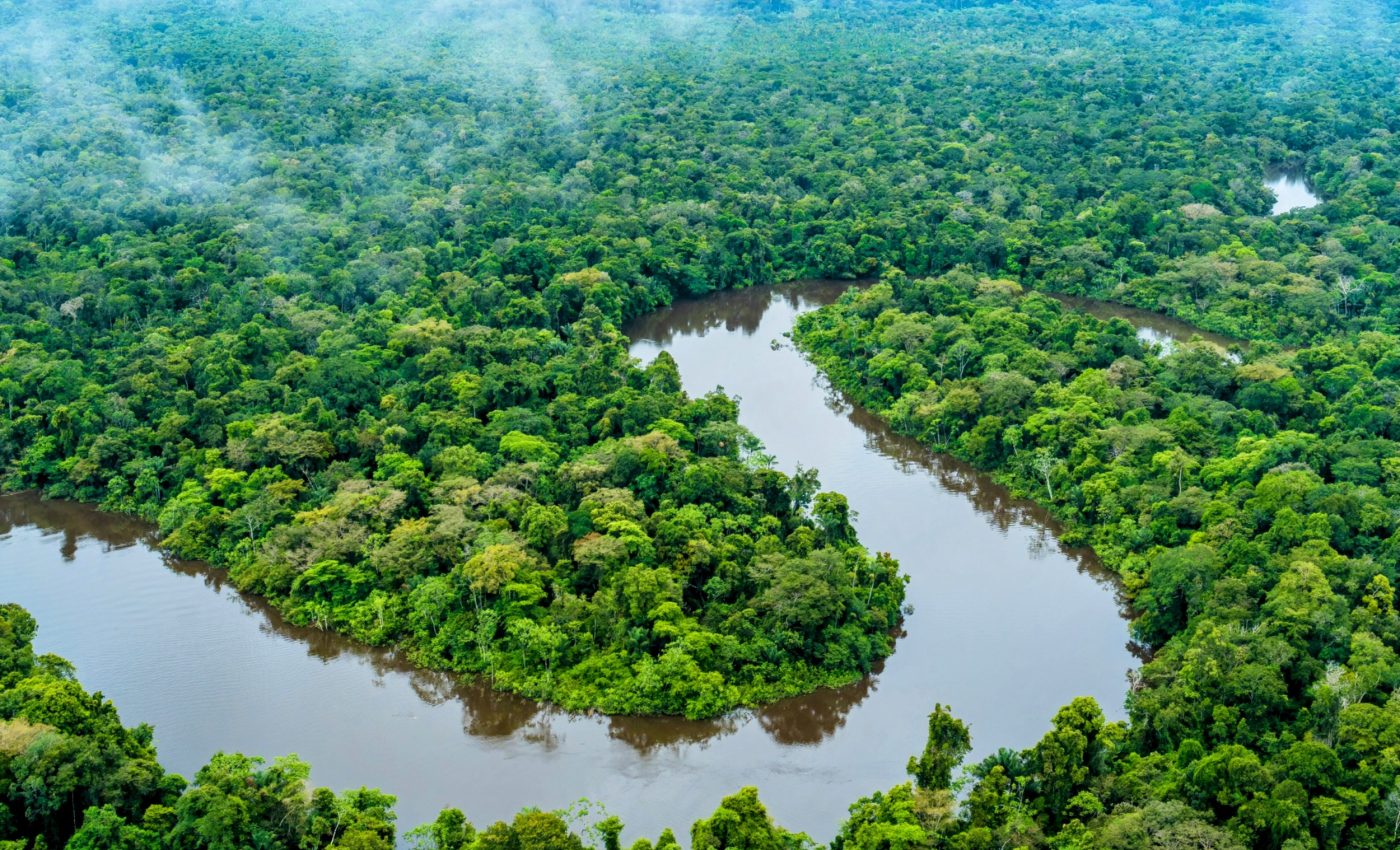 Hidden triggers of Amazon carbon emissions revealed