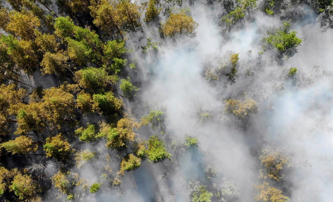 Wildfire smoke exposure linked to mental health issues