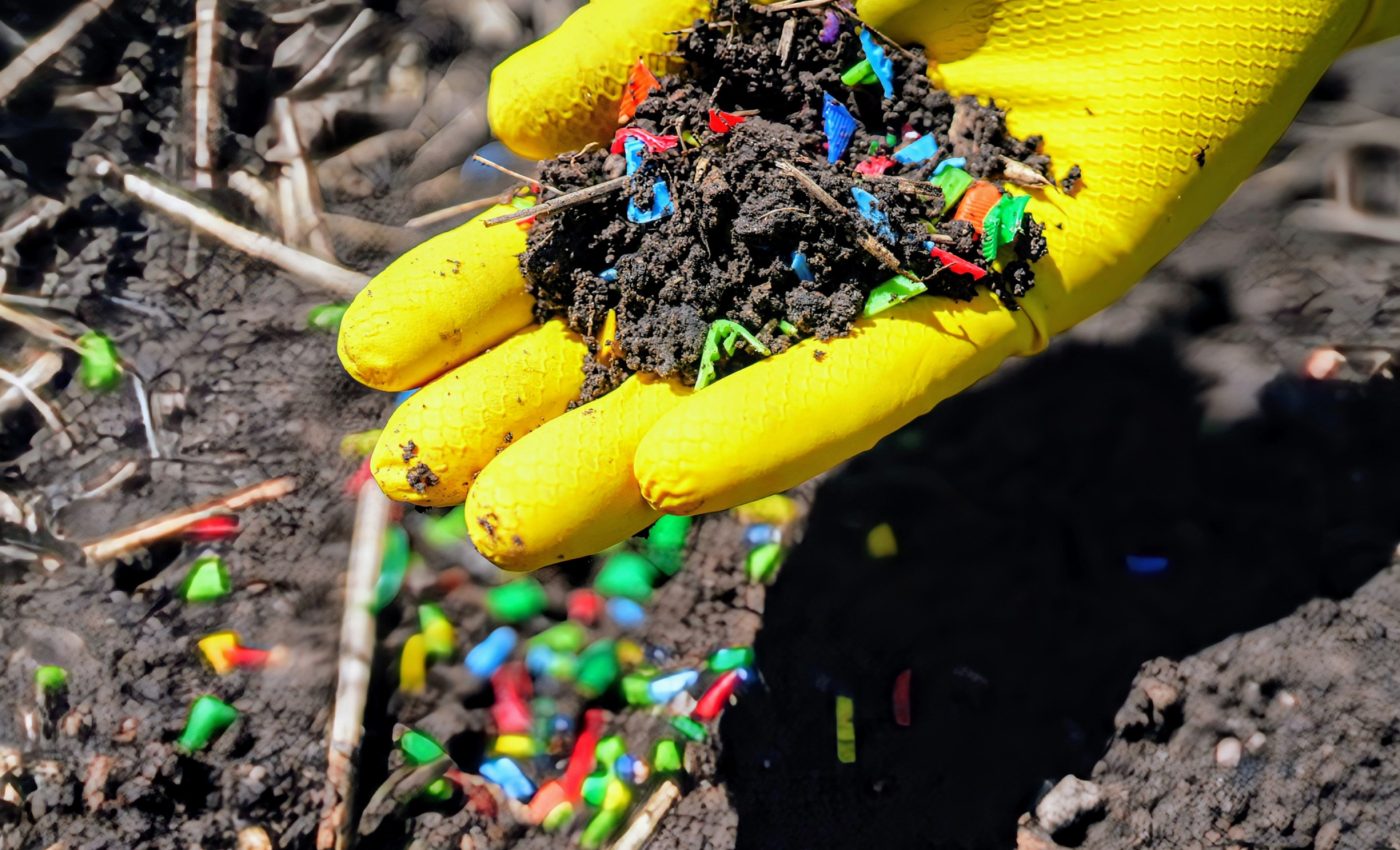 Microplastics are infiltrating the human body - even the brain