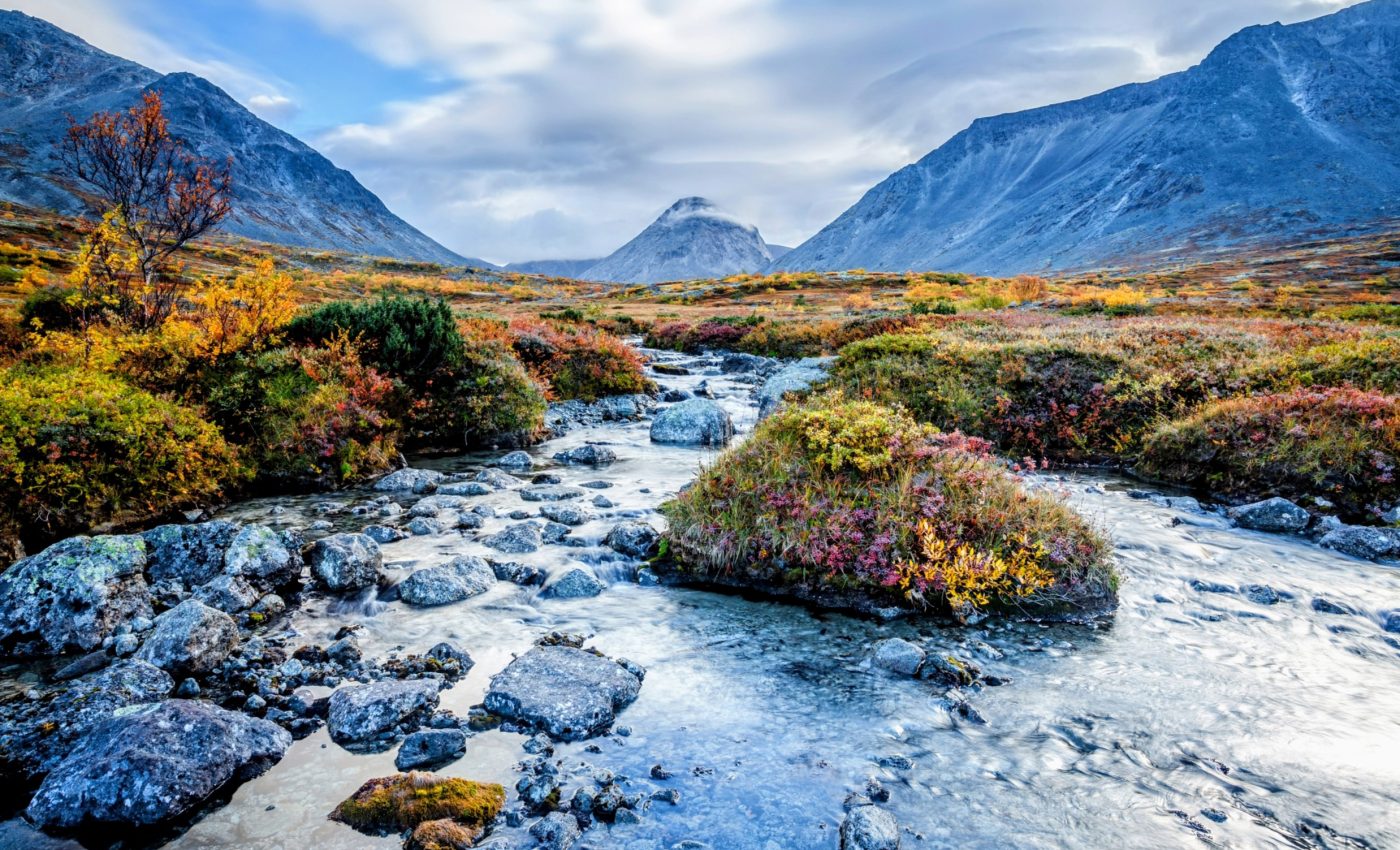 Landscapes with a mix of habitats are biodiversity hotspots