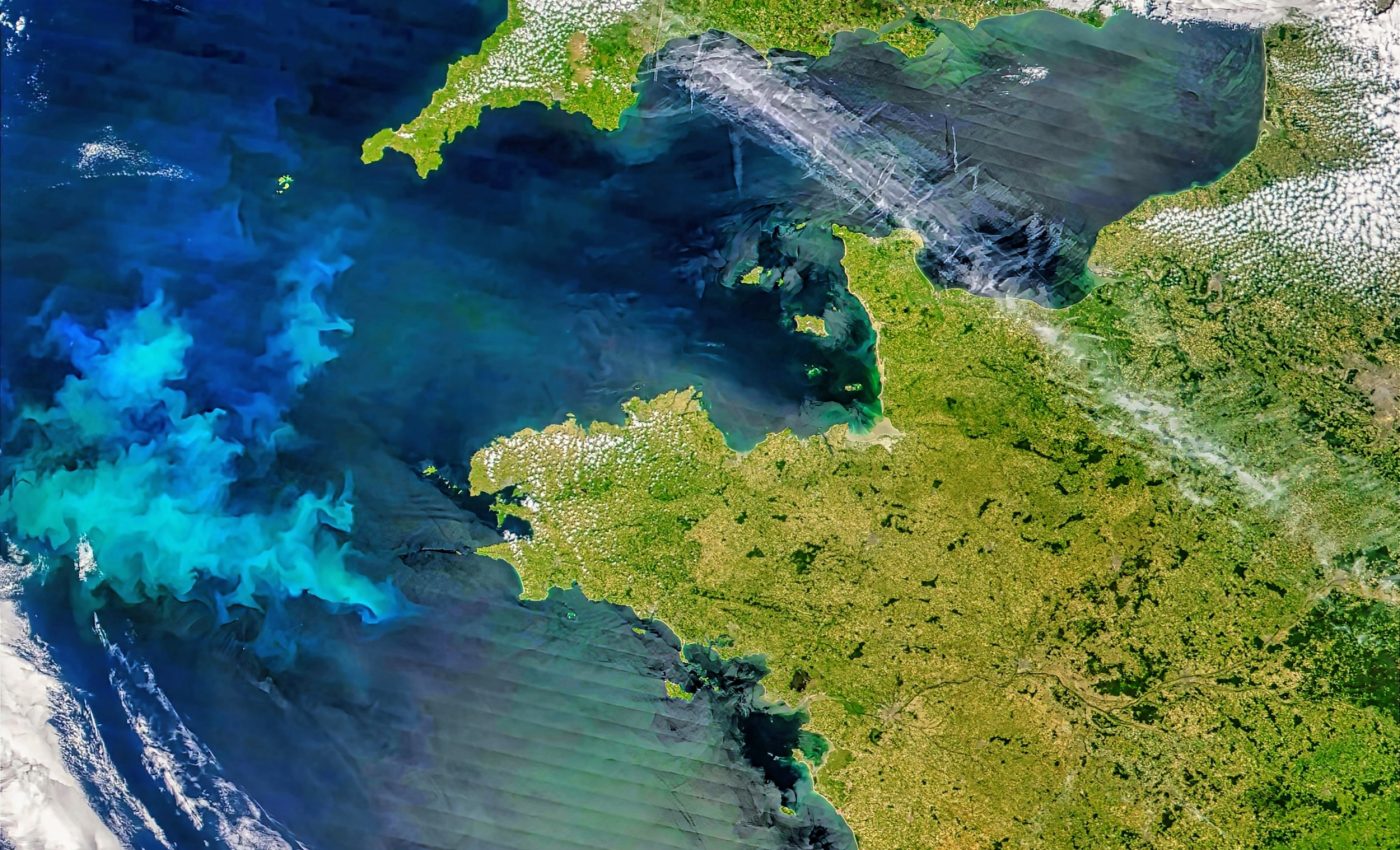 'Invisible forest' of phytoplankton thrives in a warming climate