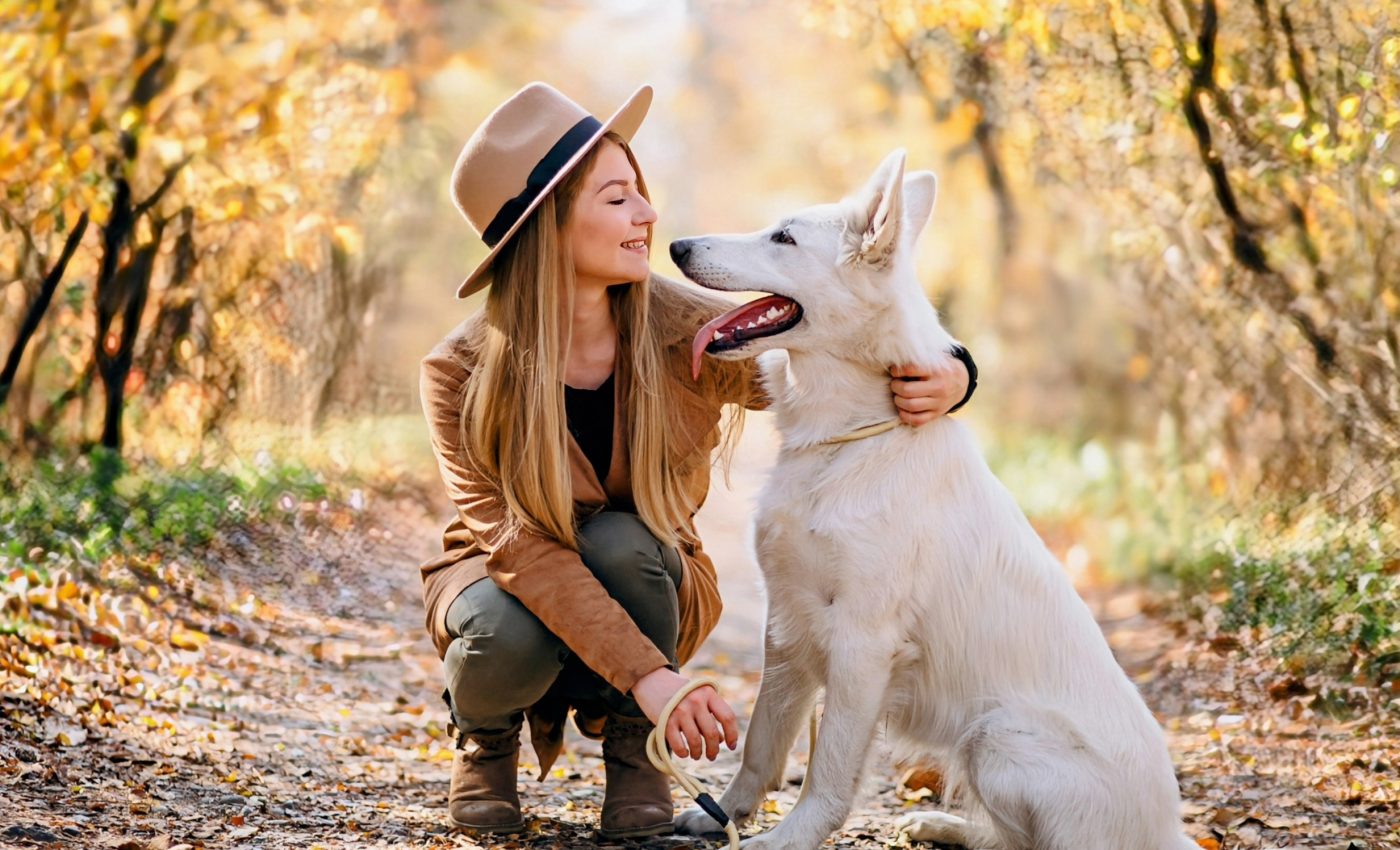 How human speech changes when we talk to dogs