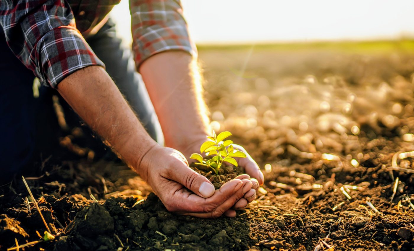 We must live in harmony with nature to create a sustainable future