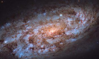 2024/10/NGC-1792.jpg