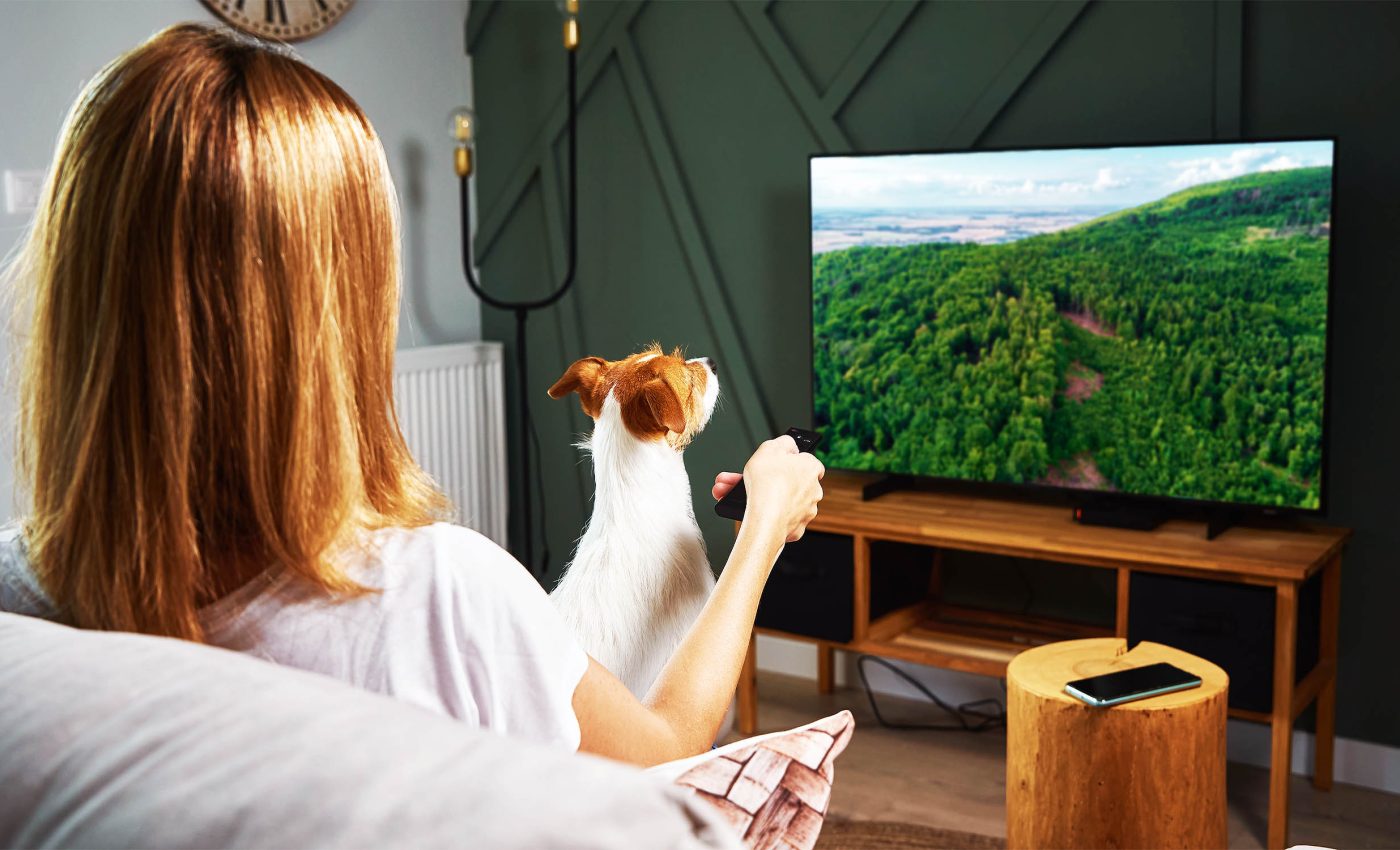 Dogs are evolving to fit the modern lives of humans