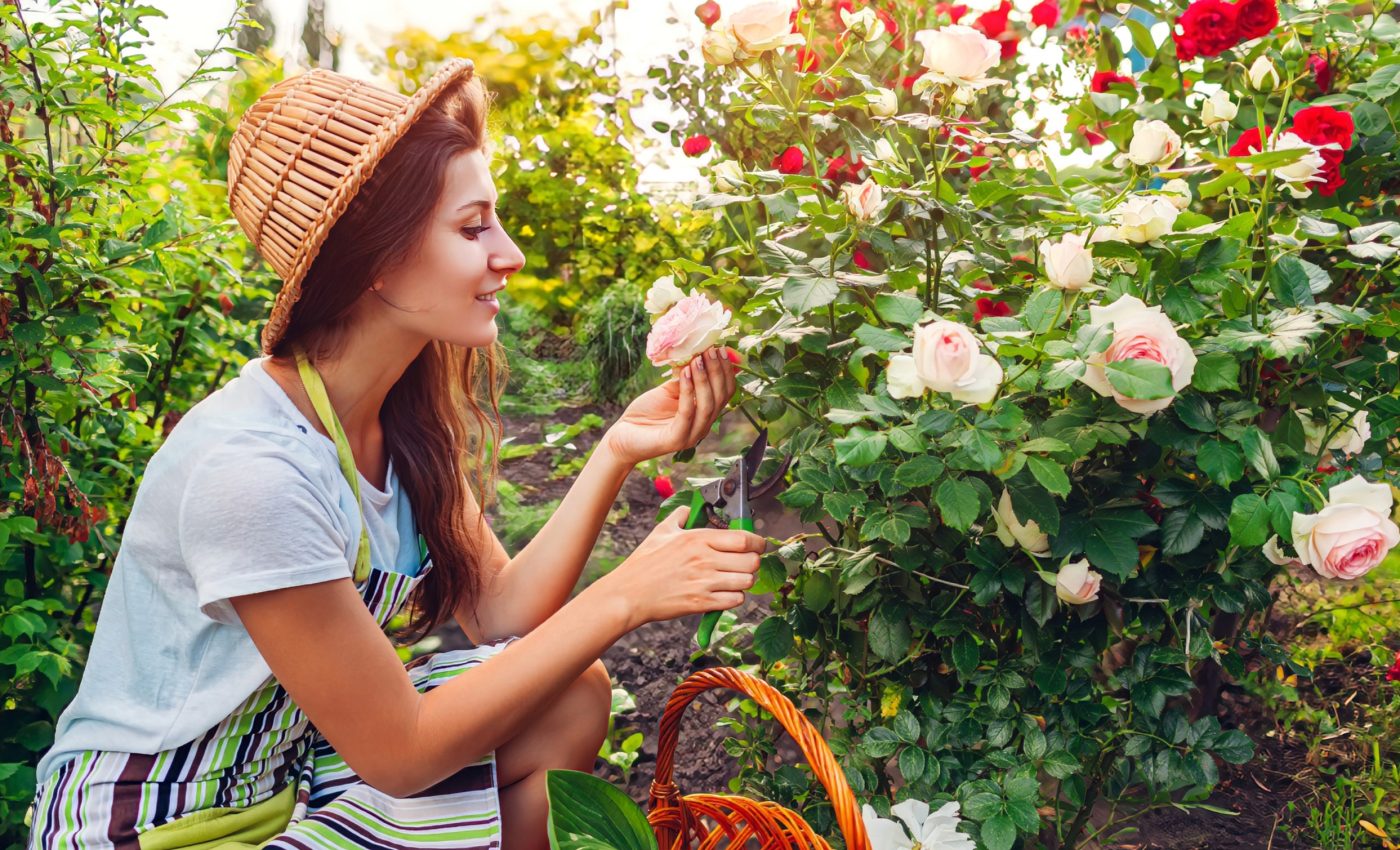 Gardens help pollinators survive seasonal food shortages