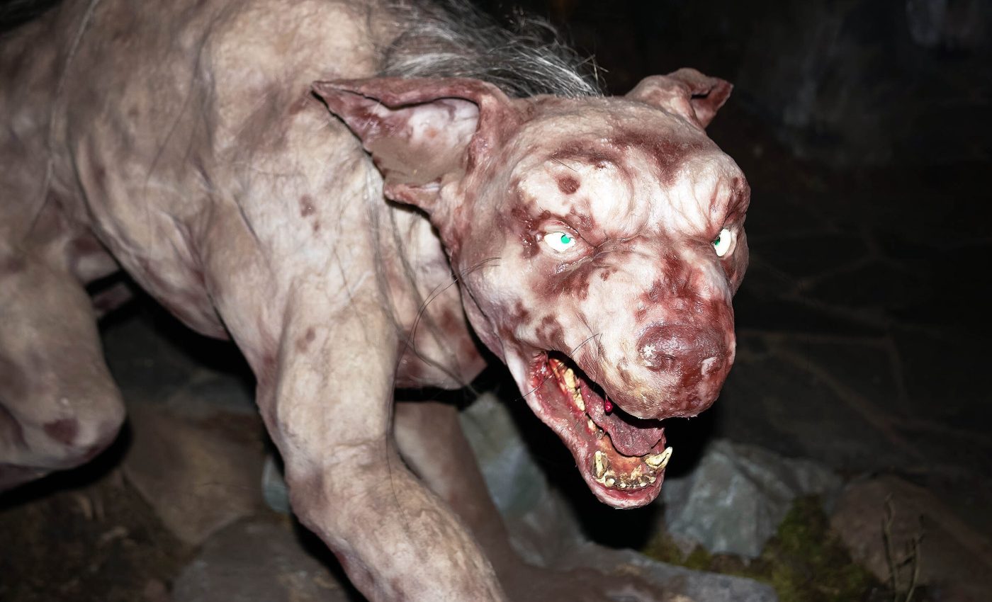 Spooky stories of the blood-sucking chupacabra: Fact or fiction?