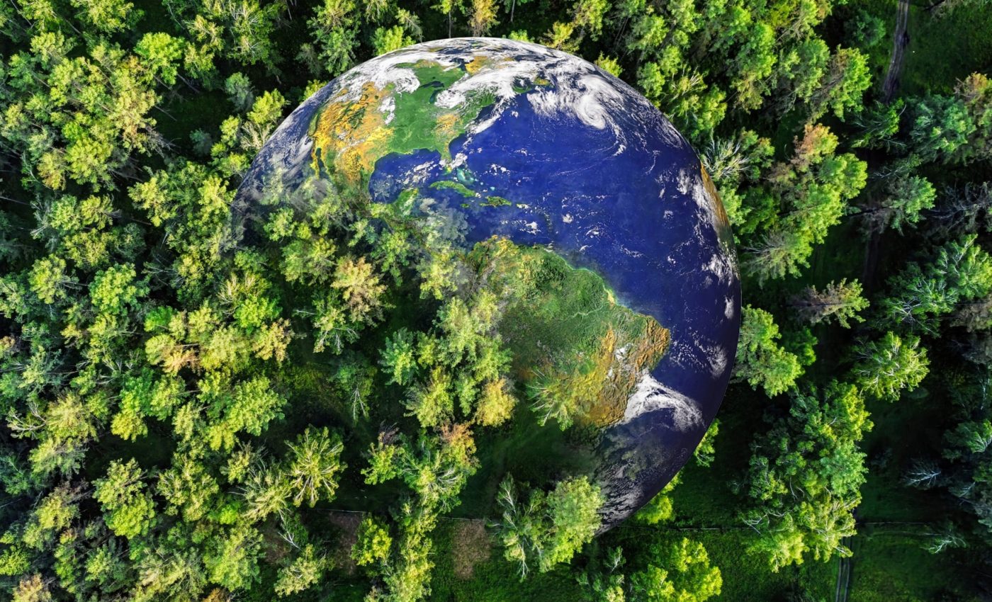 Looking to Earth's ancient climate to predict our future