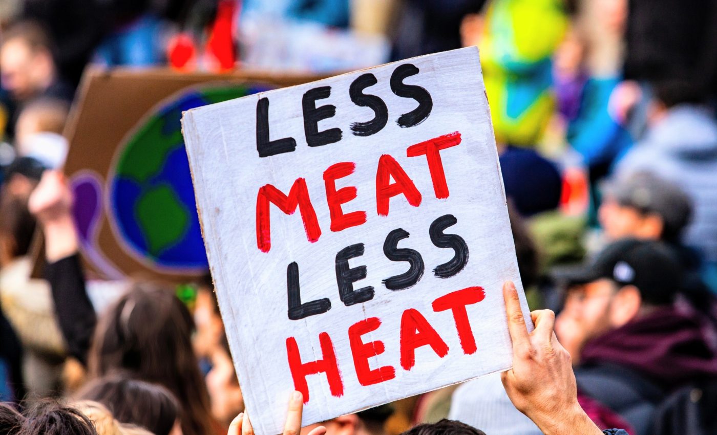Meat reductions could cut billions of tons of CO2 emissions