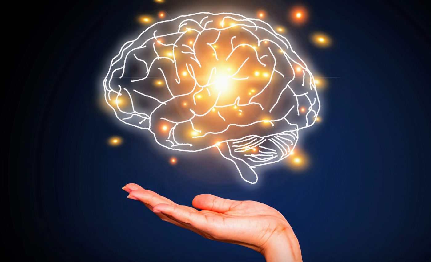 What 25 years of research revealed about brain aging