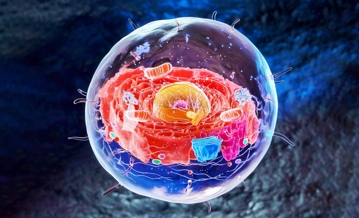 'Boring billion' wasn’t a dull period, it fueled a shift to complex life