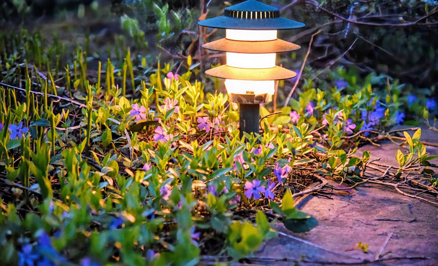 Artificial light disrupts honeybee sleep patterns