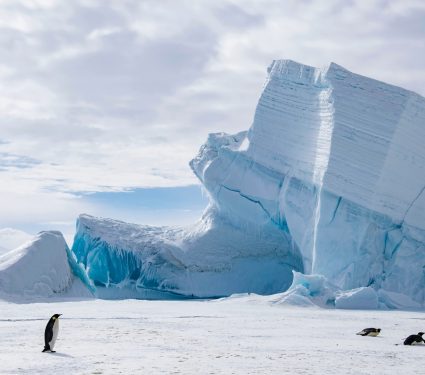 2024/11/Antarctic-ice.jpg