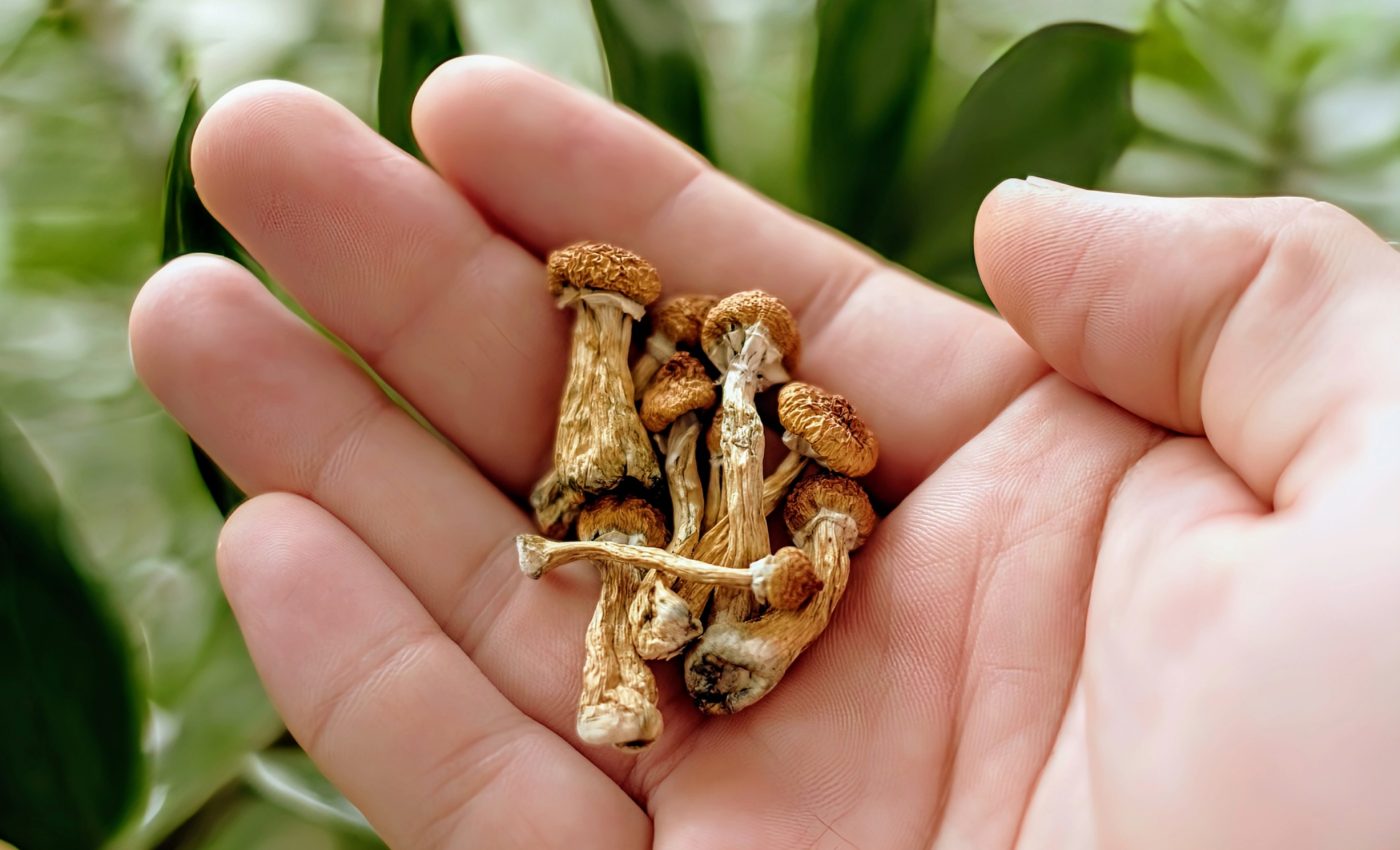 Psilocybin shows promise for treating anorexia