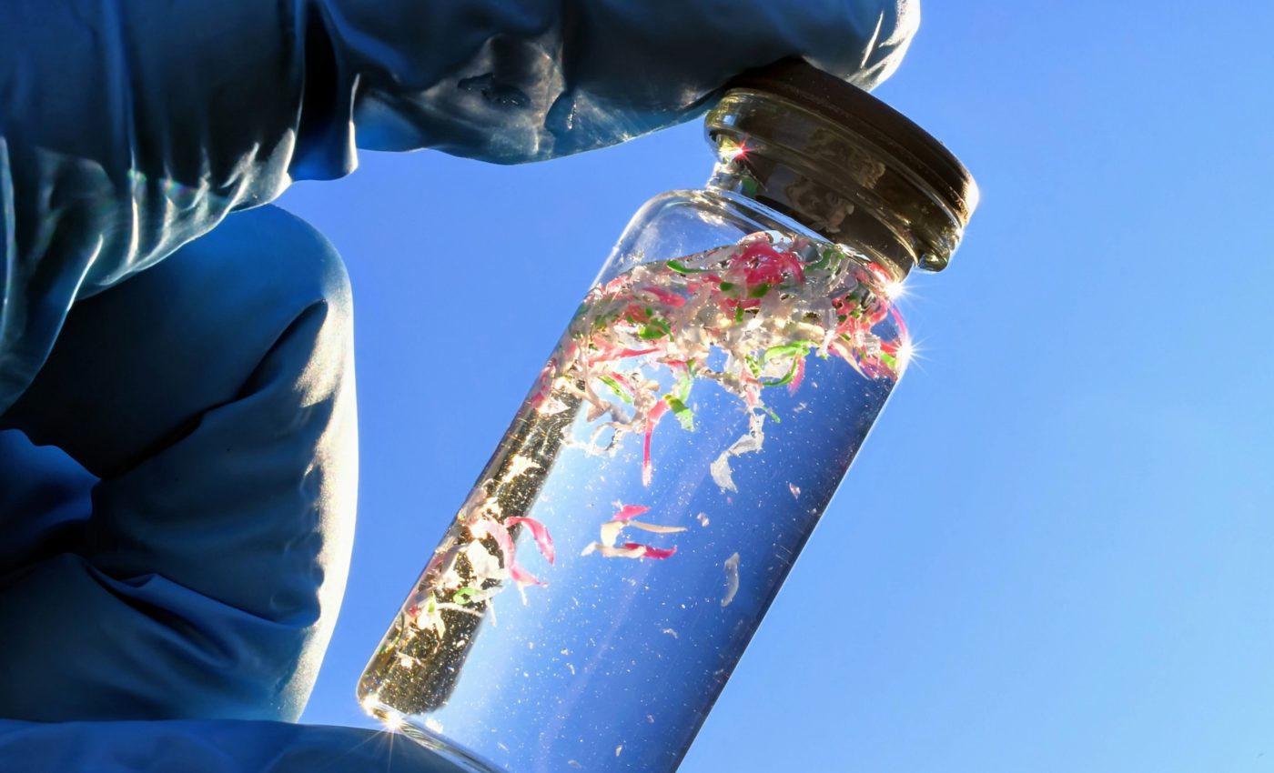 How nanotechnology is fighting microplastic pollution