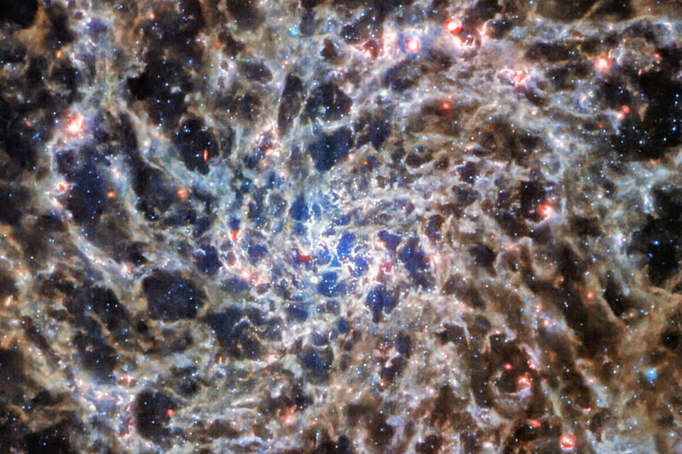 Spiral galaxy IC 5332: A complex web of gas and light